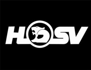 Logo HSV