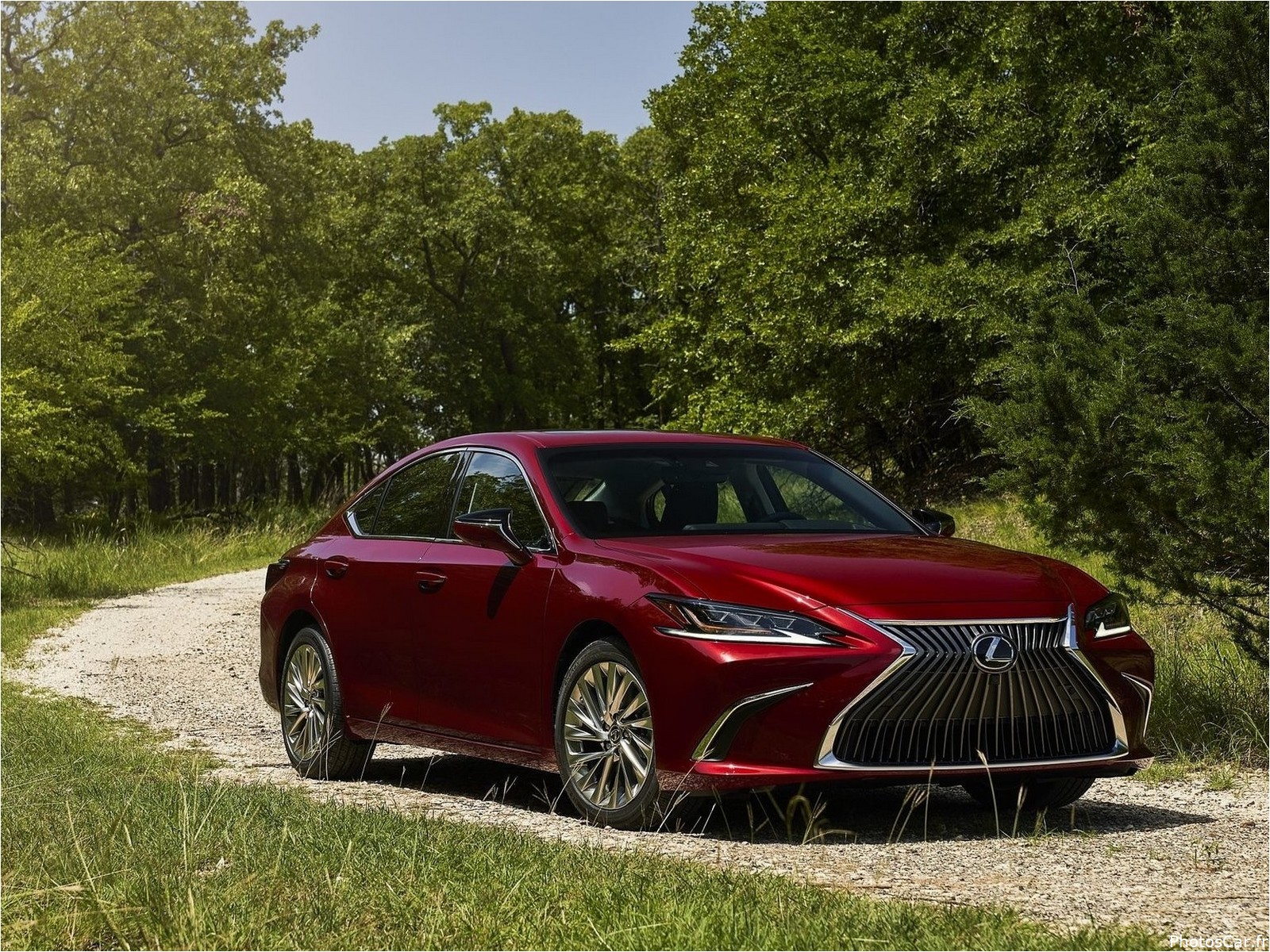 Lexus ES 2024