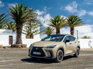 Lexus NX Overtrail 2025