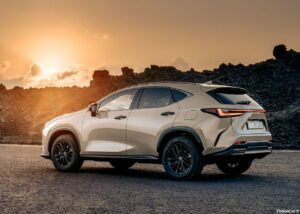 Lexus NX Overtrail 2025